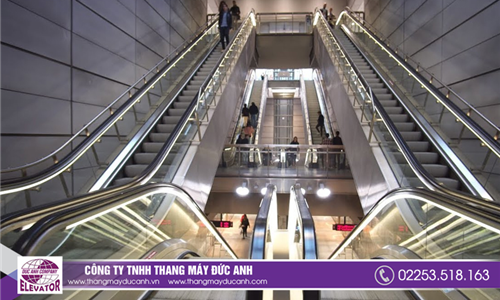 Thang cuốn Đức Anh Elevator: an toàn, tin cậy và bền bỉ