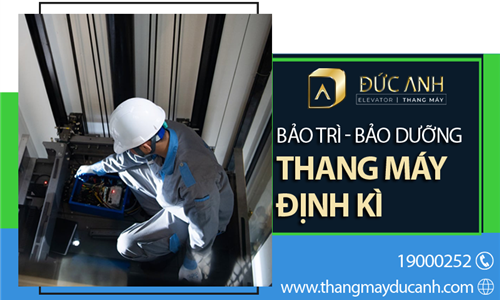 Các loại phí duy trì, bảo dưỡng thang máy