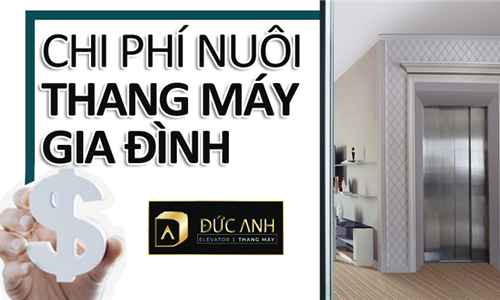 Nuôi thang máy gia đình có tốn kém không?