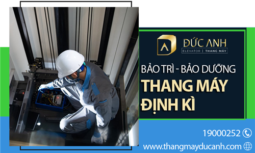 Chuyên bảo trì, nâng cấp thang máy tại Nam Định. HOTLINE 19000252